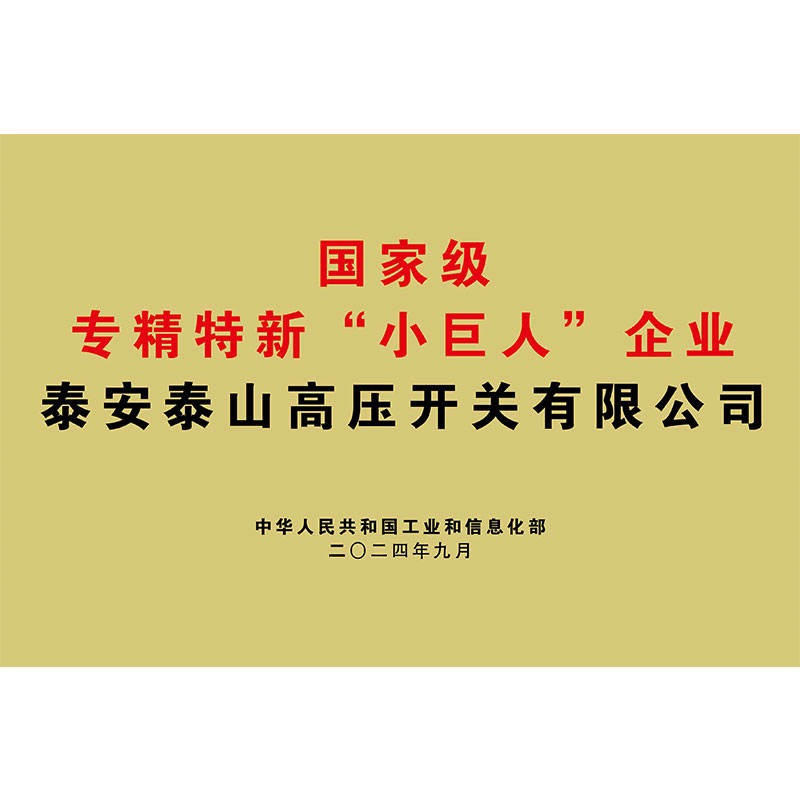 國(guó)家級(jí)專(zhuān)精特新“小巨人”企業(yè)